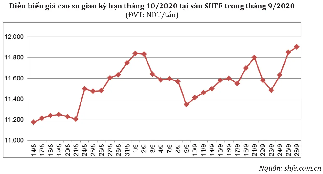 Báo cáo ngành cao su tháng 9 Giá cao su sàn SHFE Thượng Hải tháng 09/2020