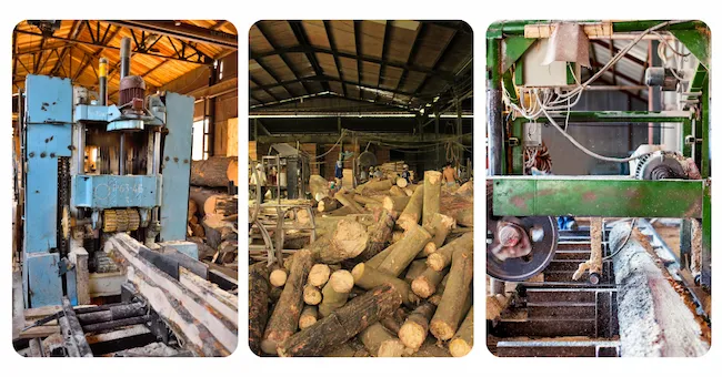 Sản xuất gỗ ghép cao su